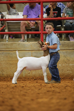 East Texas State Fair - Goat Showmanship-053