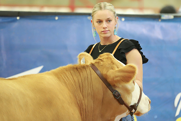 East Texas State Fair - Steer Show-034