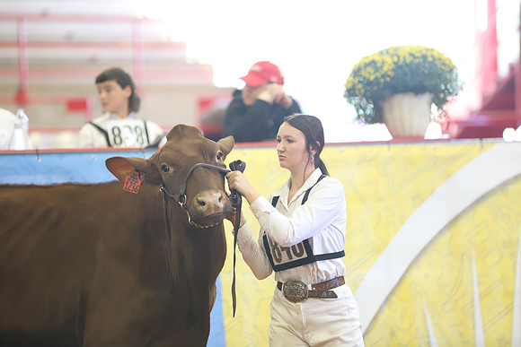 East Texas State Fair - Dairy Show-236