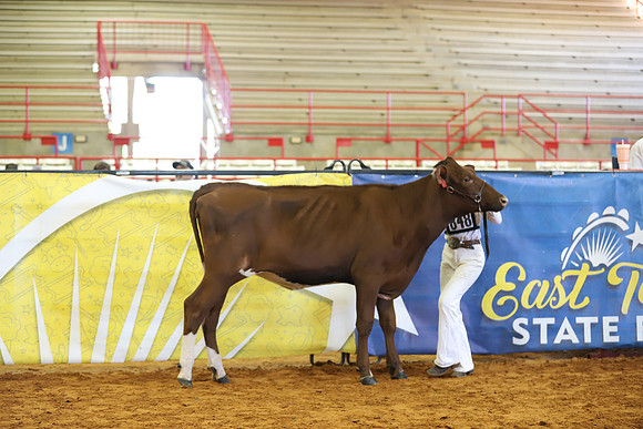 East Texas State Fair - Dairy Show-237