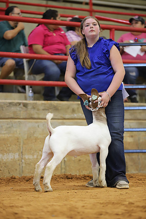East Texas State Fair - Goat Show-061