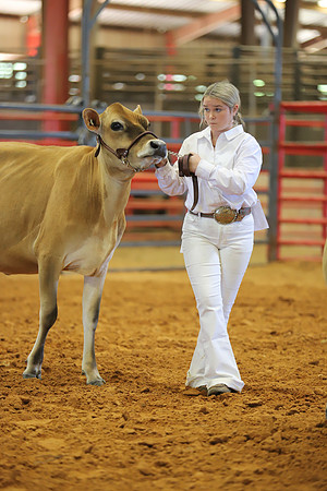 East Texas State Fair - Dairy Show-092