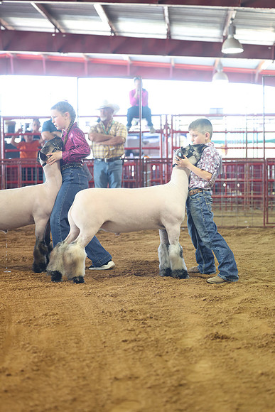 2L6A2241
