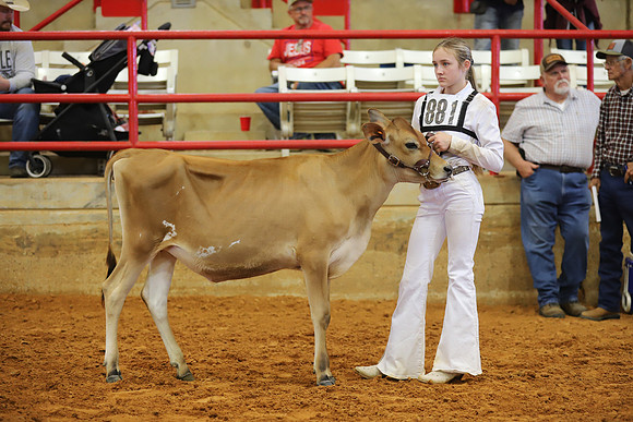 East Texas State Fair - Dairy Show-084