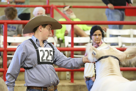 East Texas State Fair - Steer Show-059