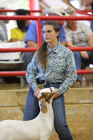East Texas State Fair - Goat Show-133