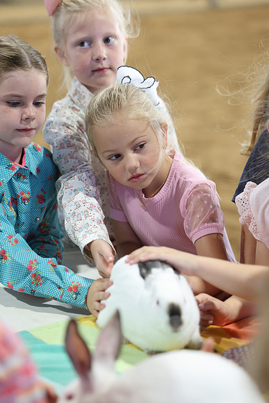 2L6A0701