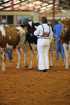 East Texas State Fair - Dairy Show-315