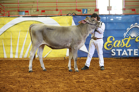 East Texas State Fair - Dairy Show-383