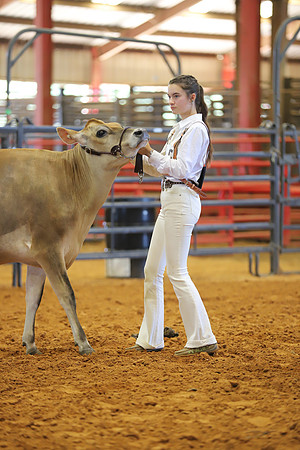 East Texas State Fair - Dairy Show-091