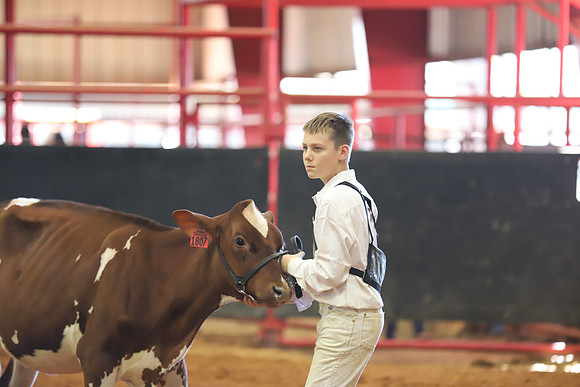 East Texas State Fair - Dairy Show-209
