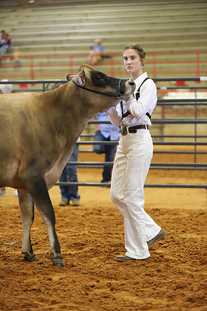 East Texas State Fair - Dairy Show-115