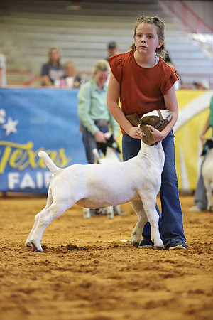 East Texas State Fair - Goat Show-084