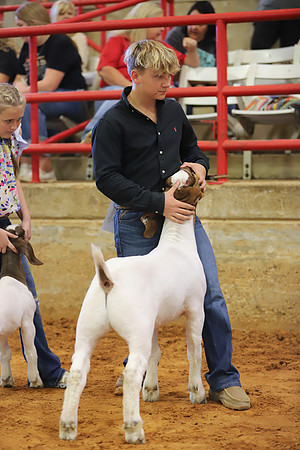 East Texas State Fair - Goat Showmanship-092