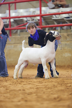 East Texas State Fair - Goat Show-029