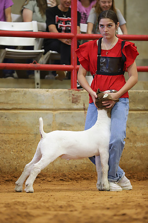 East Texas State Fair - Goat Show-142