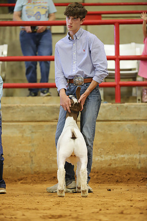 East Texas State Fair - Goat Show-054