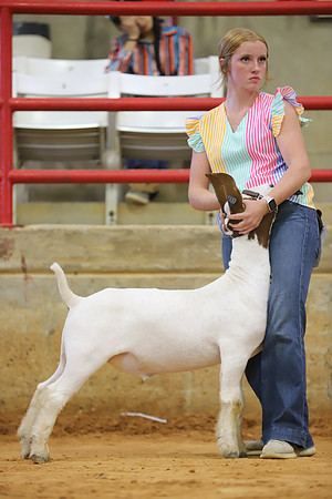 East Texas State Fair - Goat Show-015