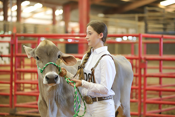East Texas State Fair - Dairy Show-053