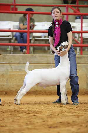 East Texas State Fair - Goat Show-021
