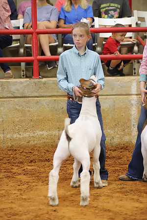 East Texas State Fair - Goat Showmanship-103