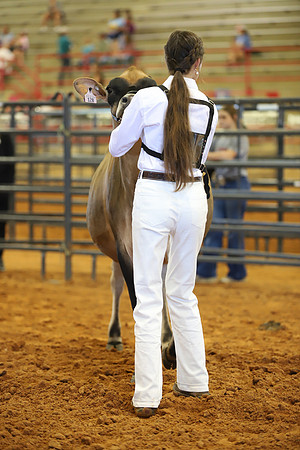 East Texas State Fair - Dairy Show-120