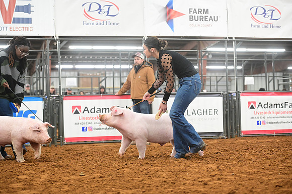 AMC_4731