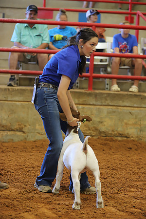 East Texas State Fair - Goat Showmanship-130