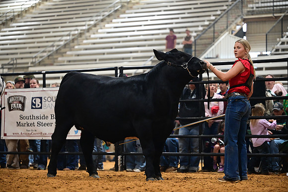 RCM_0254