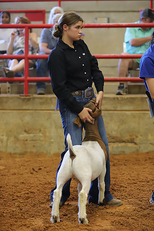 East Texas State Fair - Goat Showmanship-129