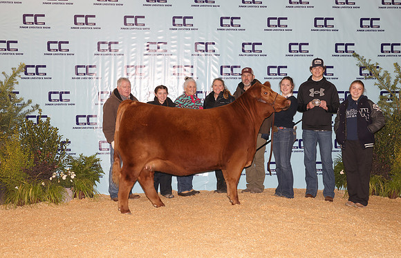 Cattle Backdrop 14
