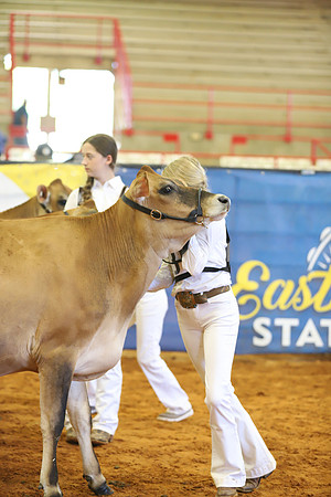 East Texas State Fair - Dairy Show-141
