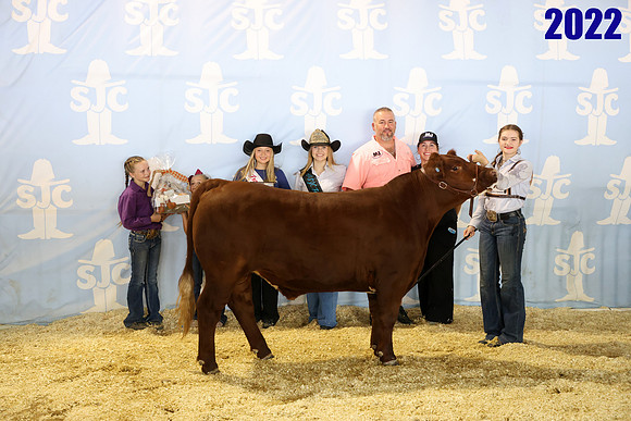 lot 85