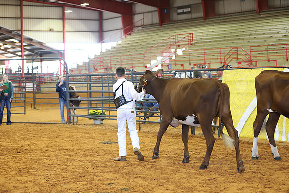 East Texas State Fair - Dairy Show-223