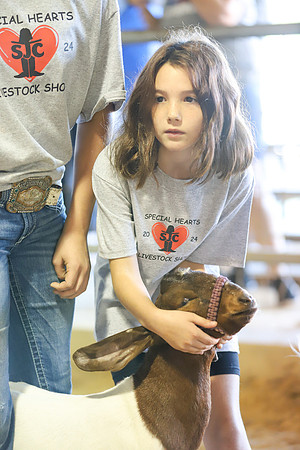 SJCFR_SpecialHearts-100
