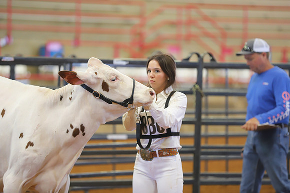 East Texas State Fair - Dairy Show-050