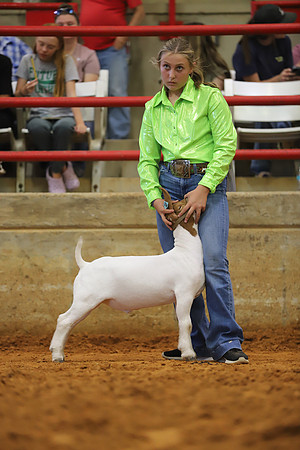 East Texas State Fair - Goat Showmanship-056