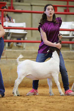East Texas State Fair - Goat Show-023