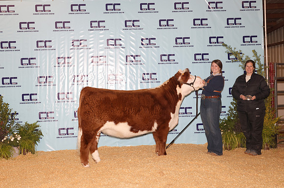 Cattle Backdrop 12