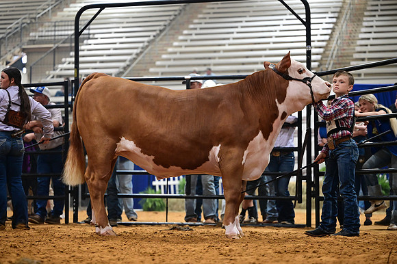 RCM_0250
