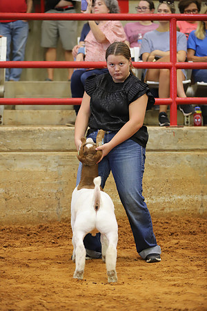 East Texas State Fair - Goat Showmanship-102