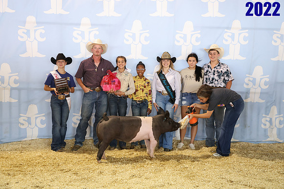 lot 167
