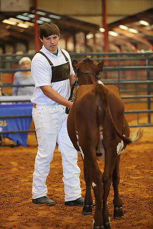 East Texas State Fair - Dairy Show-269