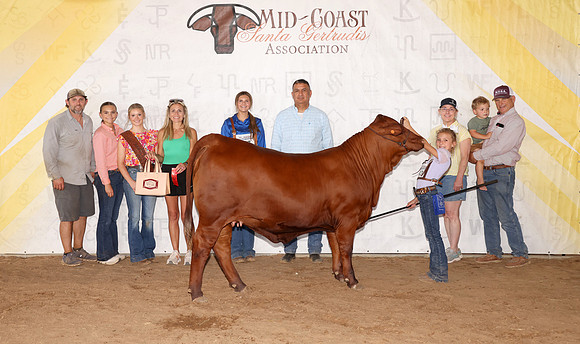 Midcoast 13