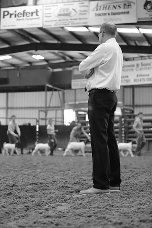 East Texas State Fair - Goat Showmanship-126