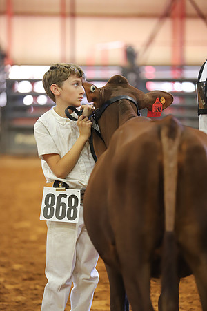East Texas State Fair - Dairy Show-262