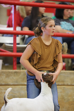East Texas State Fair - Goat Show-089