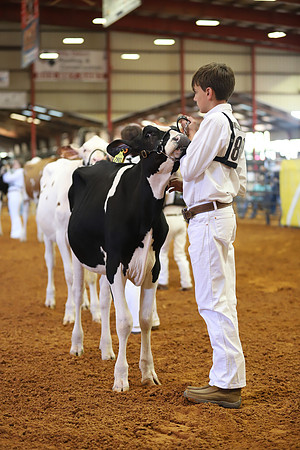 East Texas State Fair - Dairy Show-293
