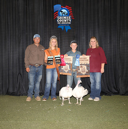 Poultry Backdrops 5