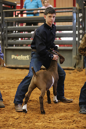 East Texas State Fair - Goat Showmanship-085